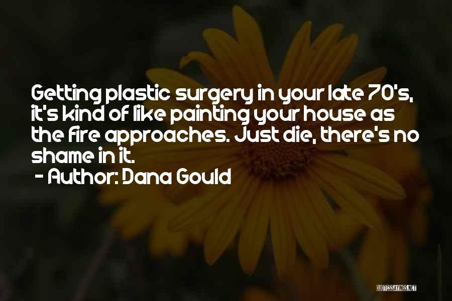 House Painting Quotes By Dana Gould