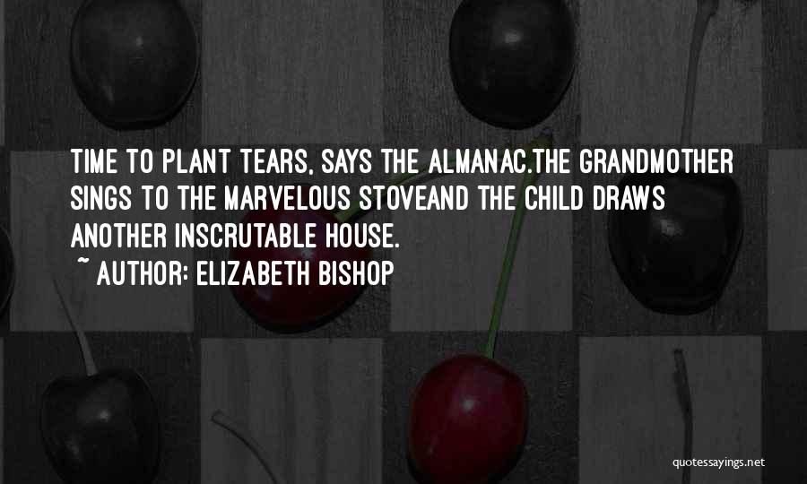 House Plant Quotes By Elizabeth Bishop