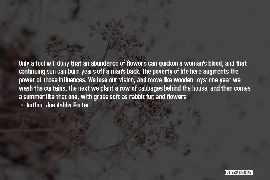 House Plant Quotes By Joe Ashby Porter