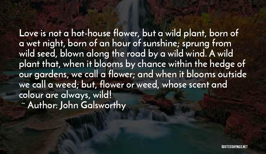 House Plant Quotes By John Galsworthy