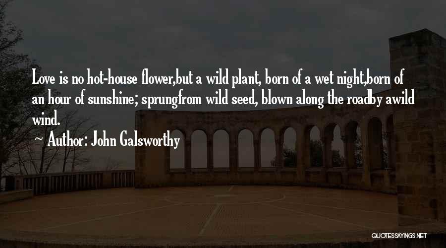 House Plant Quotes By John Galsworthy