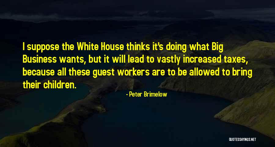 House Workers Quotes By Peter Brimelow House Workers Quotes By Peter Brimelow