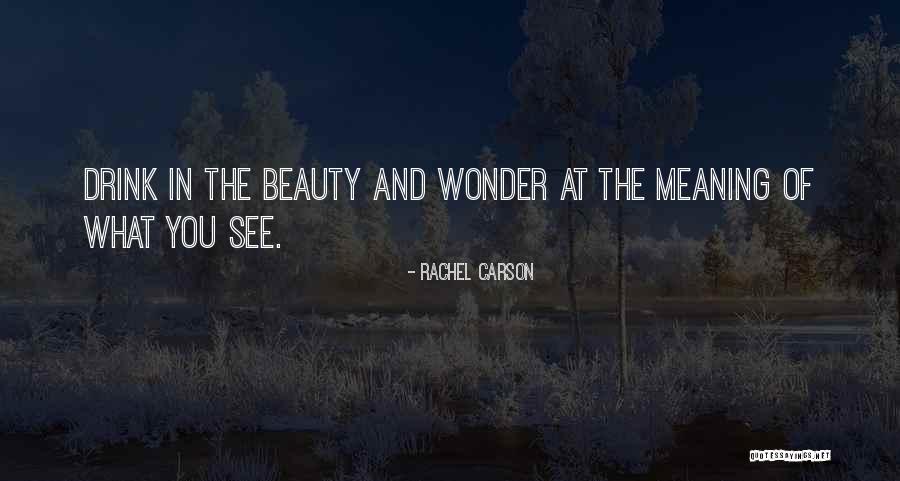 House Workers Quotes By Rachel Carson House Workers Quotes By Rachel Carson