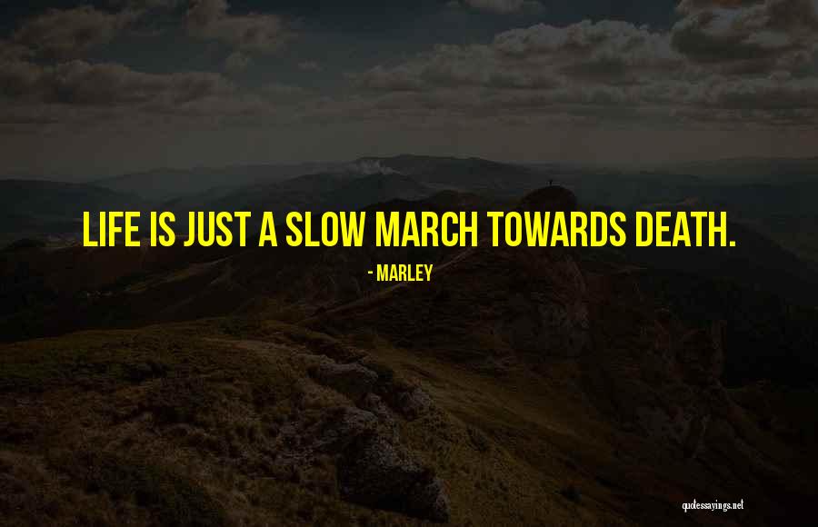 Housebound Streaming Quotes By Marley Housebound Streaming Quotes By Marley