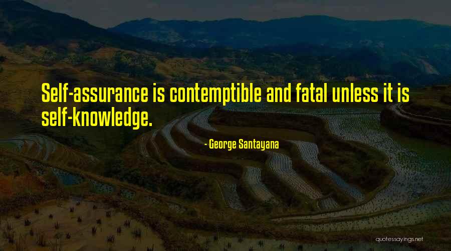 Houseboy Summary Quotes By George Santayana Houseboy Summary Quotes By George Santayana