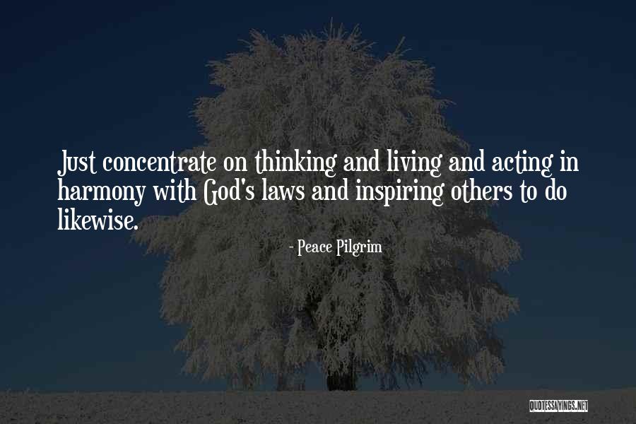 Housebuilders Quotes By Peace Pilgrim Housebuilders Quotes By Peace Pilgrim
