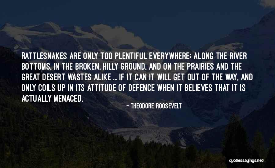 Housecall Doctors Quotes By Theodore Roosevelt Housecall Doctors Quotes By Theodore Roosevelt