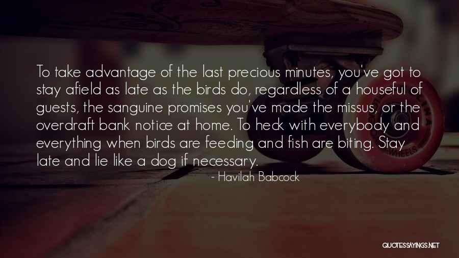 Houseful Quotes By Havilah Babcock Houseful Quotes By Havilah Babcock
