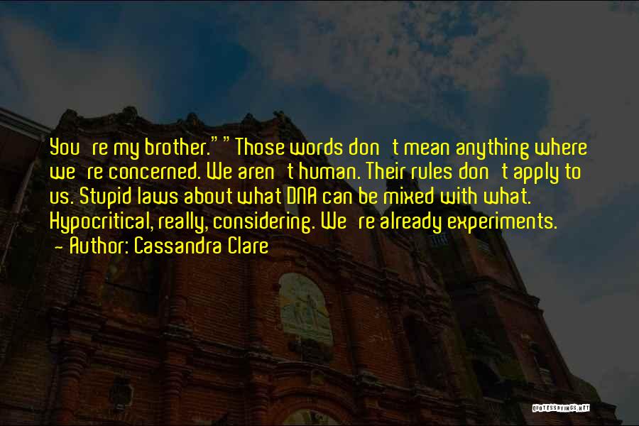 Household Removal Quotes By Cassandra Clare