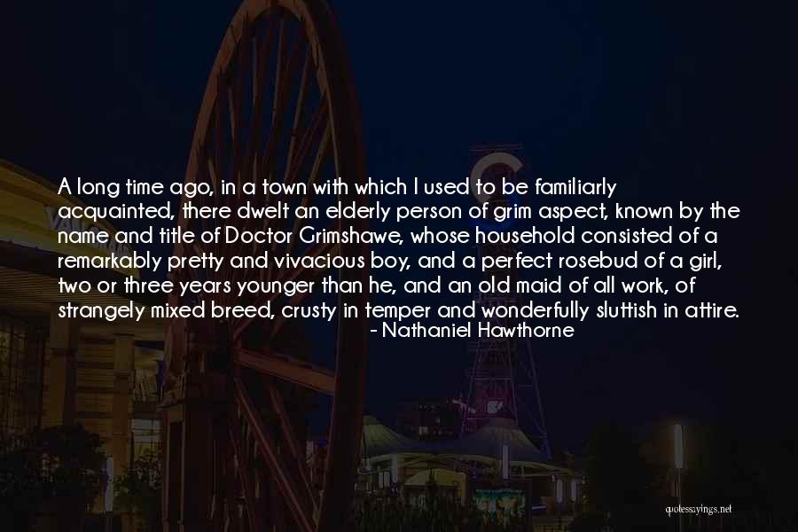 Household Work Quotes By Nathaniel Hawthorne Household Work Quotes By Nathaniel Hawthorne