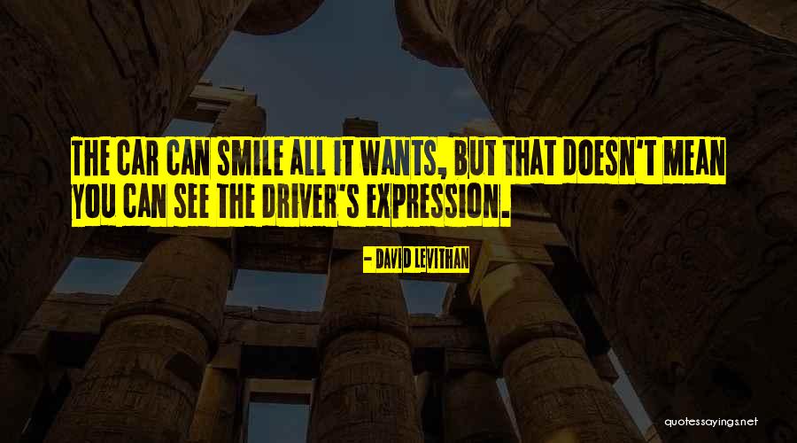 Housewares Solutions Quotes By David Levithan Housewares Solutions Quotes By David Levithan