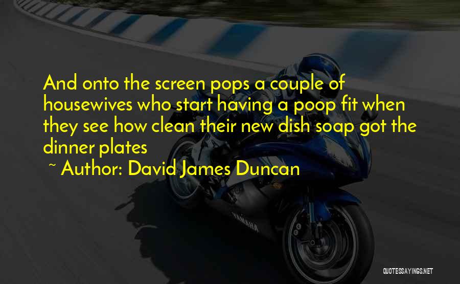 Housewives Quotes By David James Duncan
