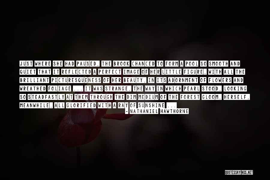 Housing And Urban Quotes By Nathaniel Hawthorne Housing And Urban Quotes By Nathaniel Hawthorne