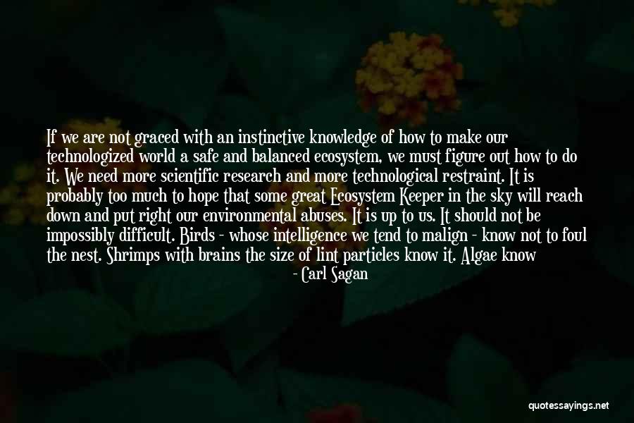 Houssam Oueini Quotes By Carl Sagan Houssam Oueini Quotes By Carl Sagan