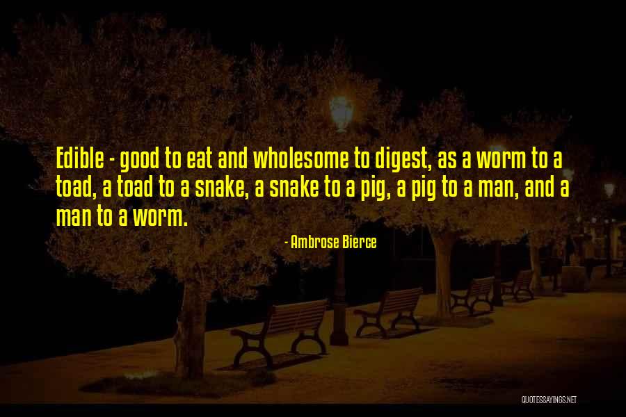 Houten Speelgoed Quotes By Ambrose Bierce Houten Speelgoed Quotes By Ambrose Bierce