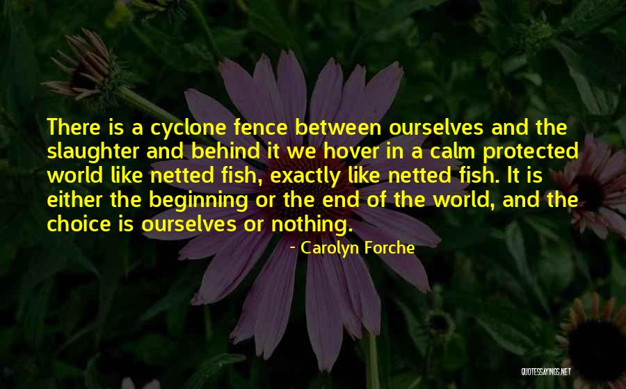 Hover Between Quotes By Carolyn Forche Hover Between Quotes By Carolyn Forche