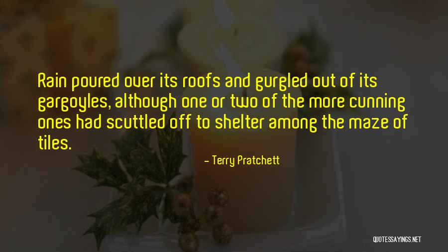 Hovno Obrazek Quotes By Terry Pratchett Hovno Obrazek Quotes By Terry Pratchett
