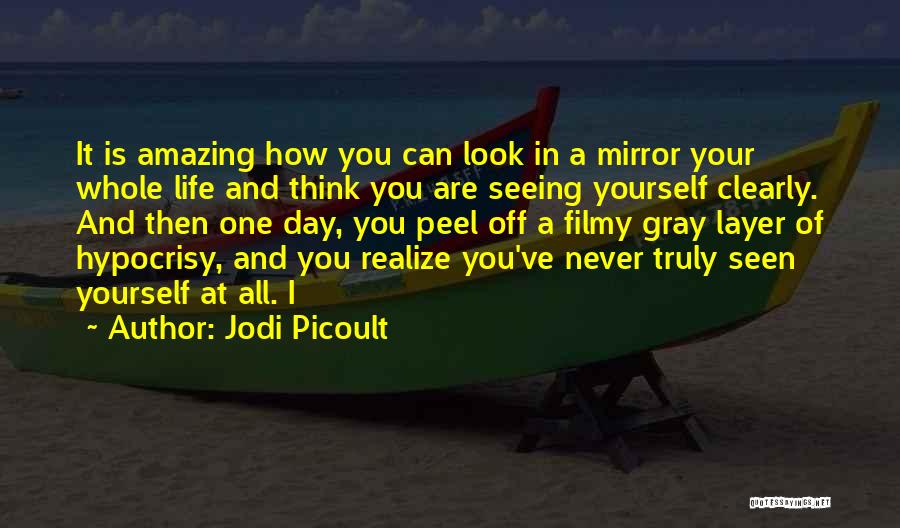 How Amazing Is Life Quotes By Jodi Picoult