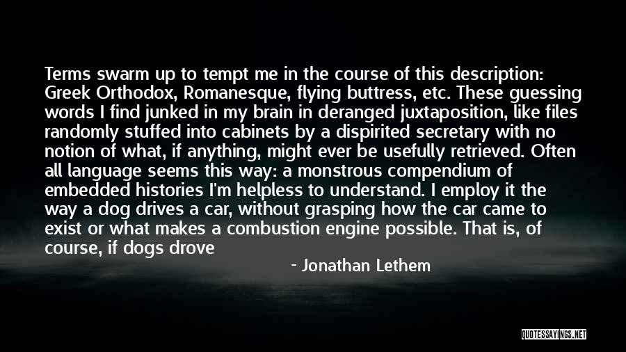How Anything Is Possible Quotes By Jonathan Lethem How Anything Is Possible Quotes By Jonathan Lethem