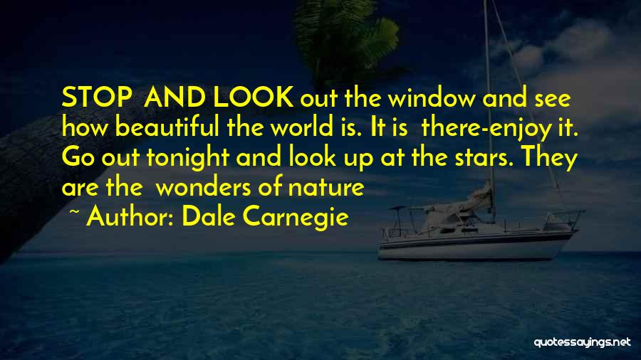 How Beautiful Nature Is Quotes By Dale Carnegie