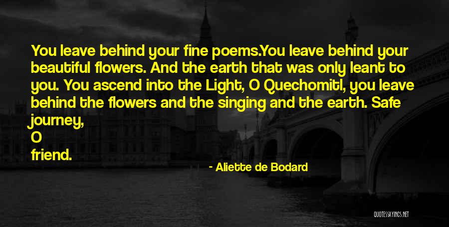 How Beautiful Your Friend Is Quotes By Aliette De Bodard