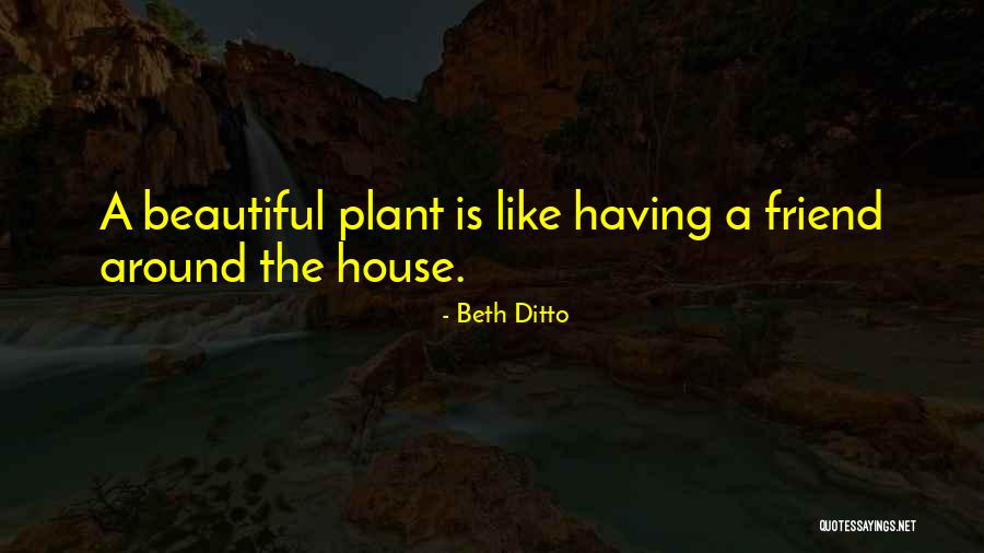 How Beautiful Your Friend Is Quotes By Beth Ditto How Beautiful Your Friend Is Quotes By Beth Ditto