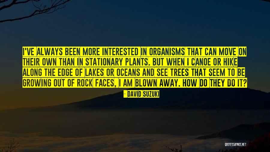 How Can I Move On Quotes By David Suzuki How Can I Move On Quotes By David Suzuki