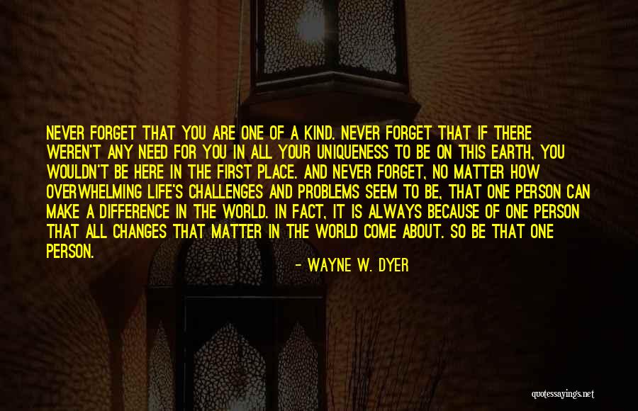 How Can One Person Make A Difference Quotes By Wayne W. Dyer How Can One Person Make A Difference Quotes By Wayne W. Dyer