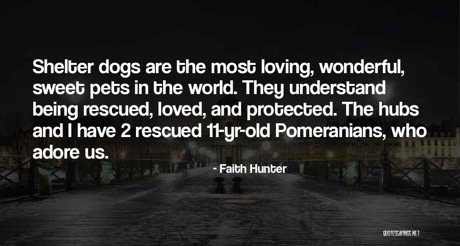 How Can You Not Adore Him Quotes By Faith Hunter
