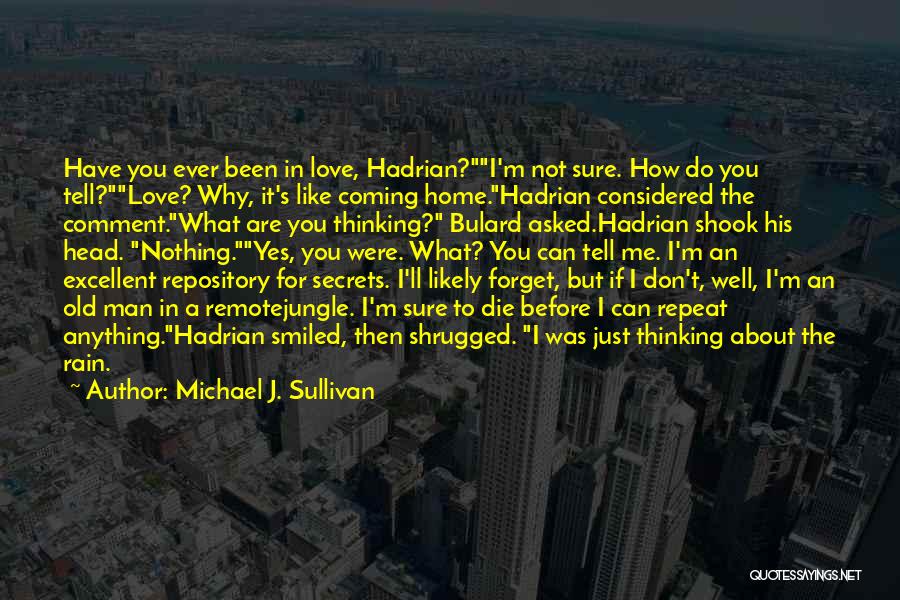 How Can You Not Love Me Quotes By Michael J. Sullivan