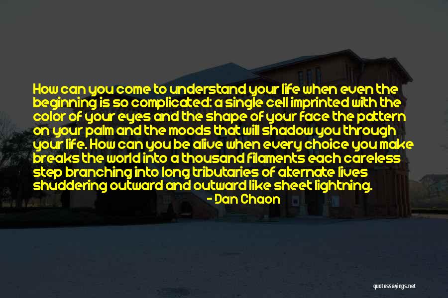 How Complicated Life Is Quotes By Dan Chaon How Complicated Life Is Quotes By Dan Chaon