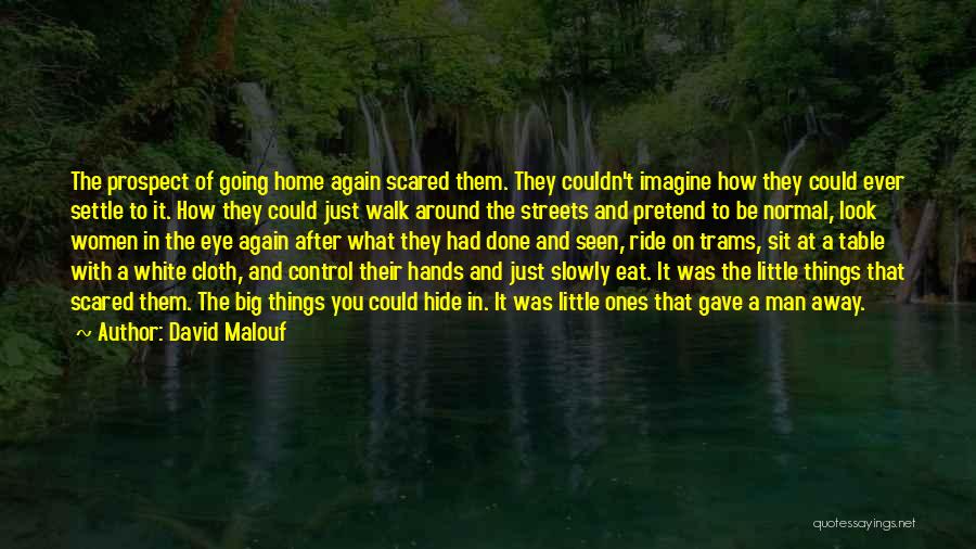 How Could You Just Walk Away Quotes By David Malouf