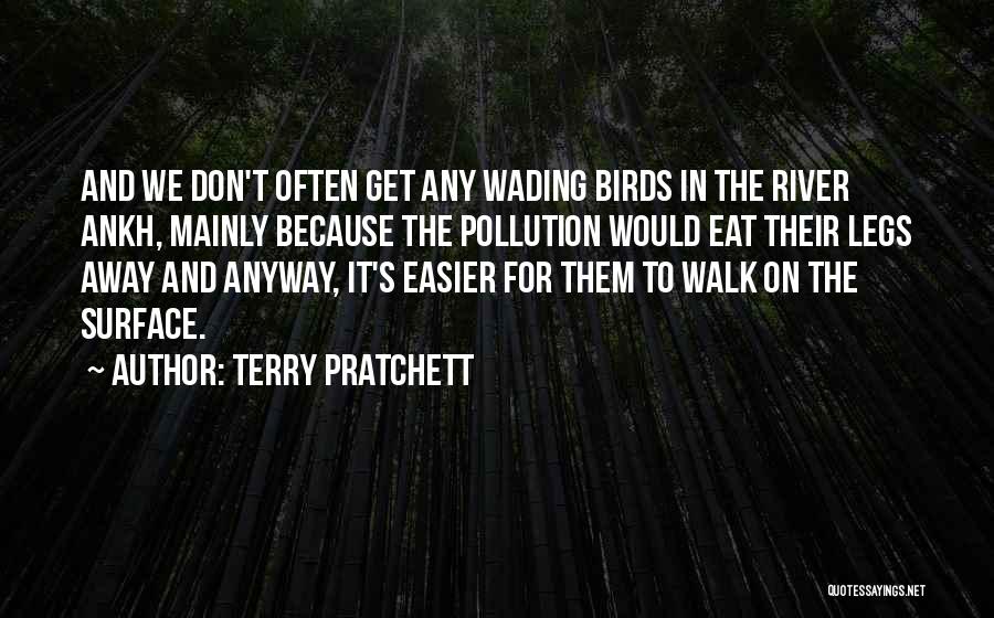 How Could You Just Walk Away Quotes By Terry Pratchett