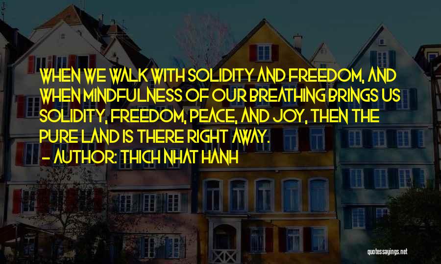 How Could You Just Walk Away Quotes By Thich Nhat Hanh