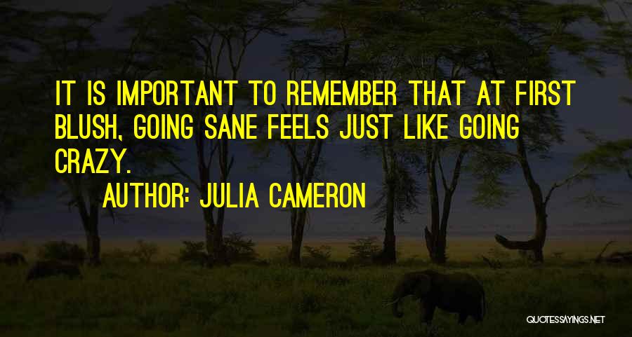 How Depression Feels Quotes By Julia Cameron