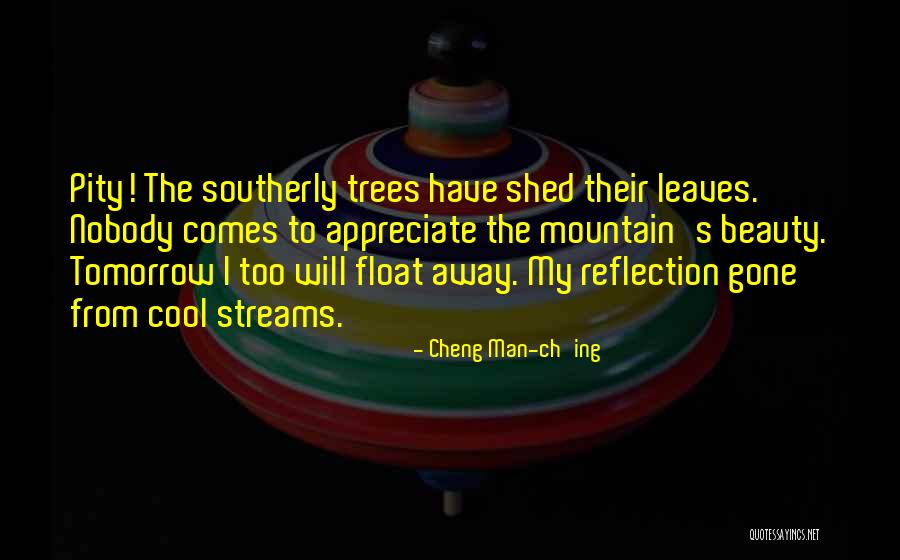 How Do You Appreciate Beauty Quotes By Cheng Man-ch'ing
