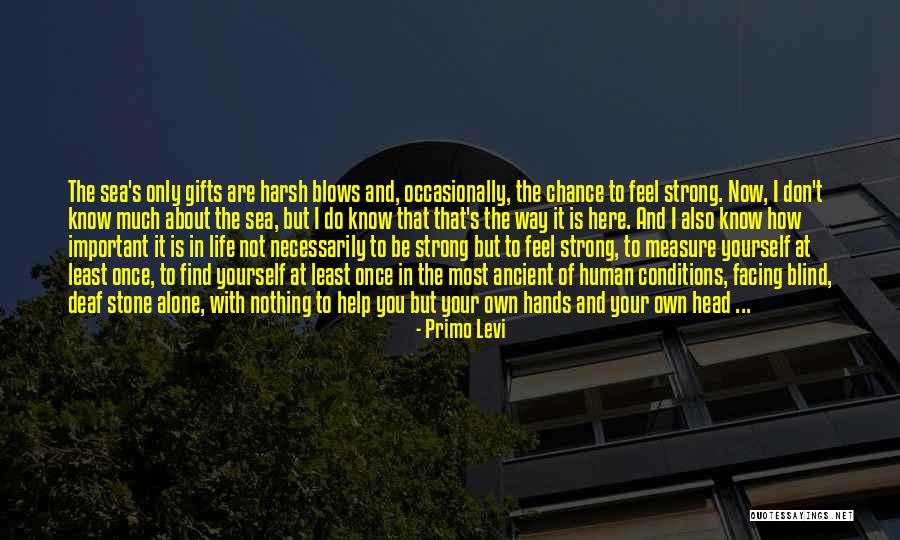 How Do You Find Yourself Quotes By Primo Levi