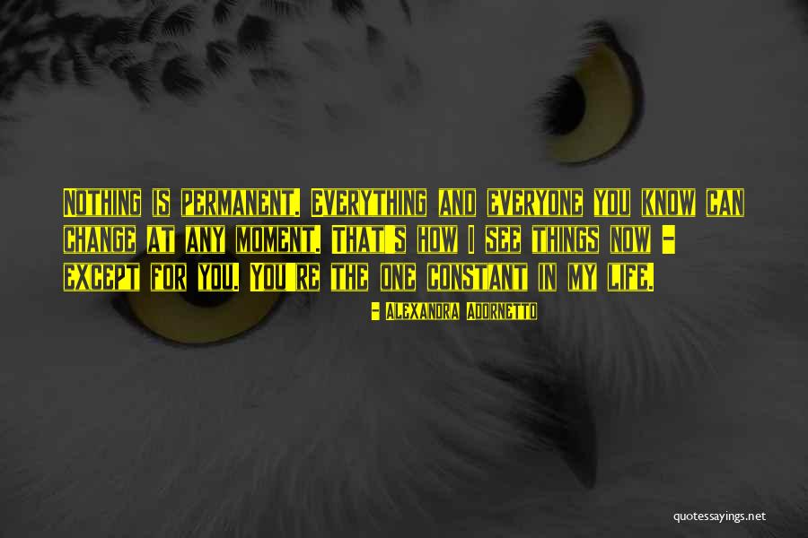 How Everything Can Change Quotes By Alexandra Adornetto How Everything Can Change Quotes By Alexandra Adornetto