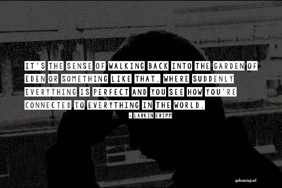 How Everything Is Connected Quotes By Larkin Grimm How Everything Is Connected Quotes By Larkin Grimm
