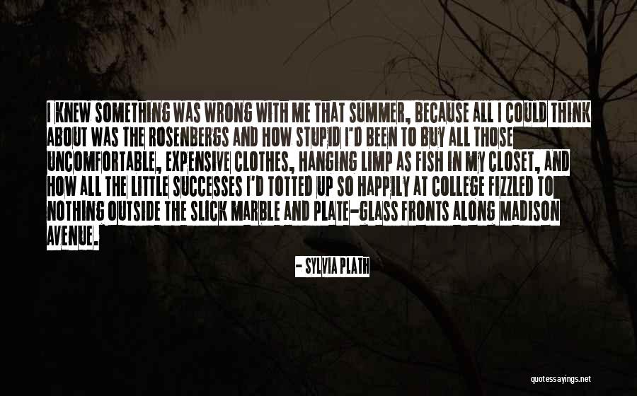 How Expensive College Is Quotes By Sylvia Plath How Expensive College Is Quotes By Sylvia Plath