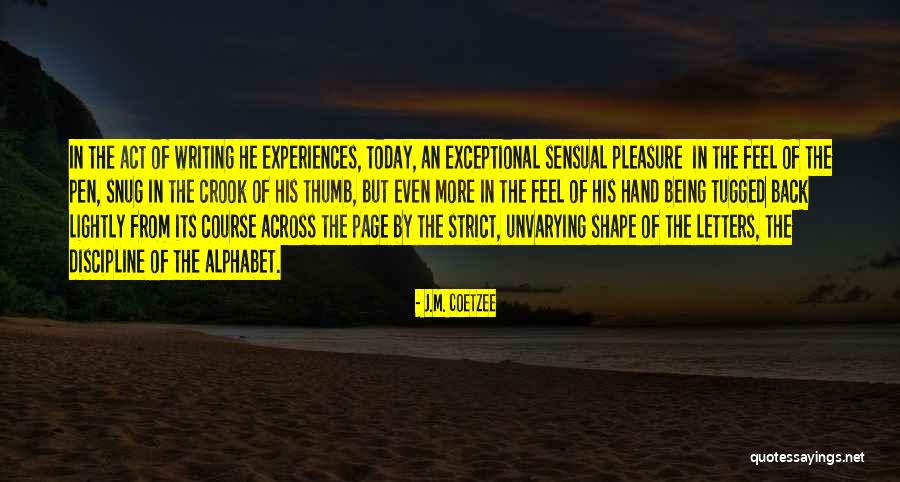 How Experiences Shape Us Quotes By J.M. Coetzee