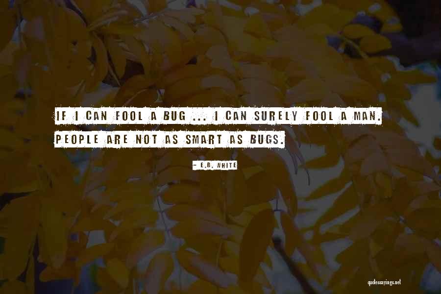 How Fool I Am Quotes By E.B. White How Fool I Am Quotes By E.B. White