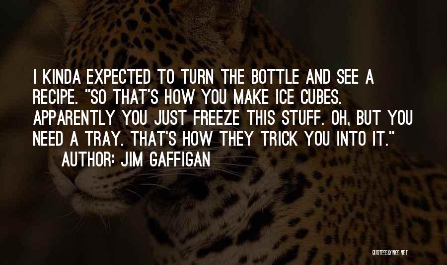 How Funny Quotes By Jim Gaffigan