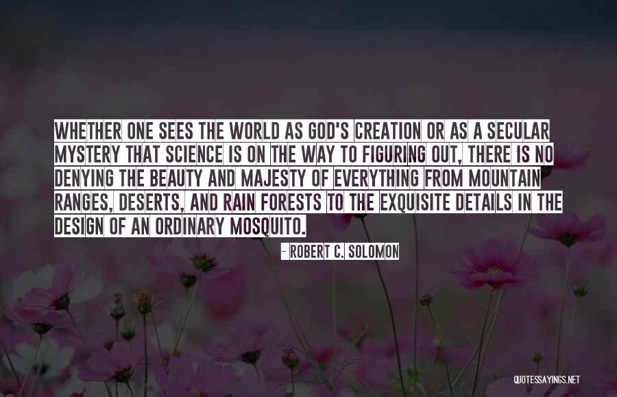 How God Sees Beauty Quotes By Robert C. Solomon