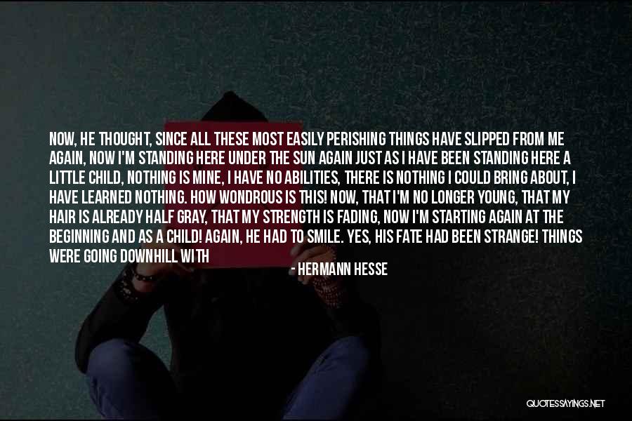 How Great My Life Is Quotes By Hermann Hesse