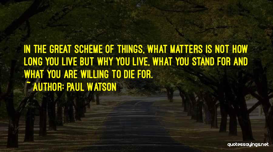 How Great You Are Quotes By Paul Watson