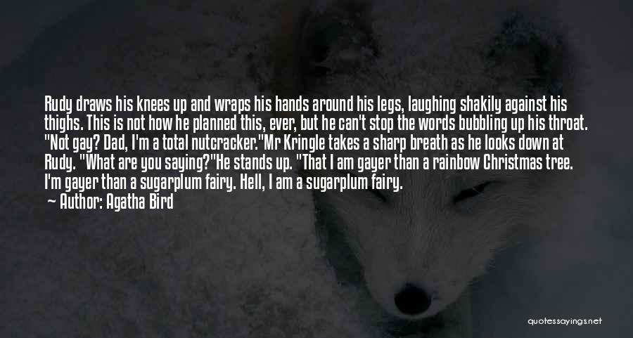 How He Looks At You Quotes By Agatha Bird
