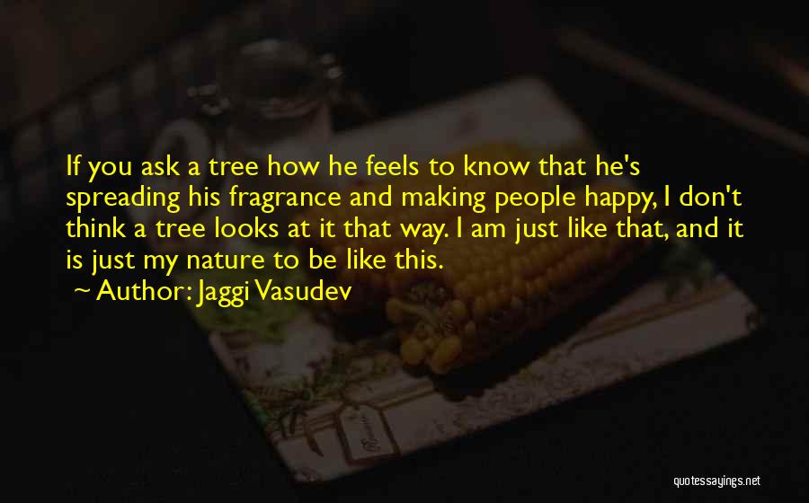 How He Looks At You Quotes By Jaggi Vasudev
