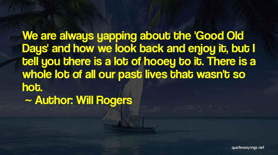 How Hot It Is Quotes By Will Rogers