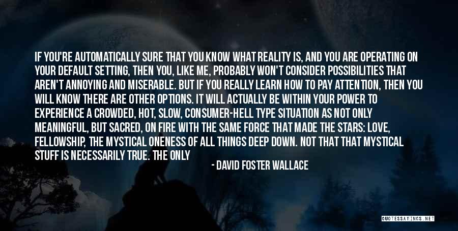 How Hot You Are Quotes By David Foster Wallace How Hot You Are Quotes By David Foster Wallace